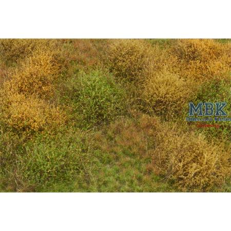 Grasmatte wildes Gebüsch/wild shruberry - Herbst