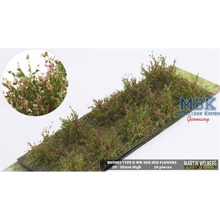 10 Büsche mit roten Blüten, Höhe 2-3 cm