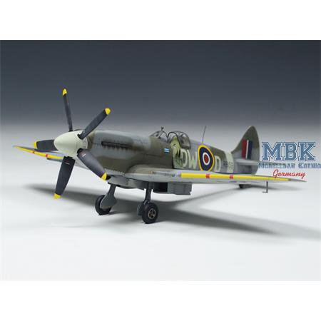 Spitfire Mk.XIVc (Premium Edition Kit)