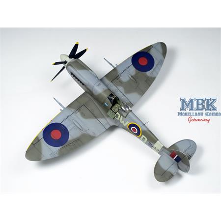 Spitfire Mk.XIVc (Premium Edition Kit)