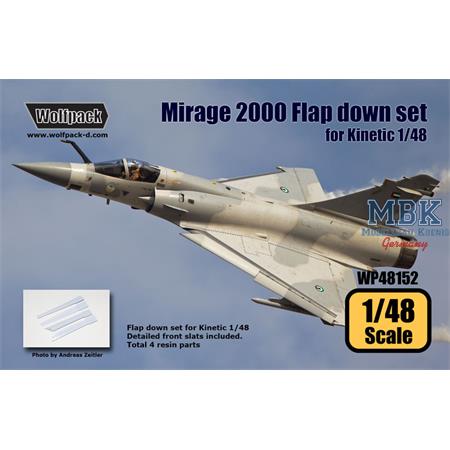 Mirage 2000 Flap down set