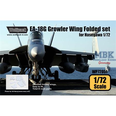 EA-18G Growler Wing Folded set