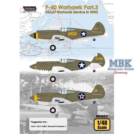 USAAF Warhawk Service in WW2