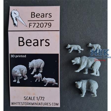 Bears - Bären