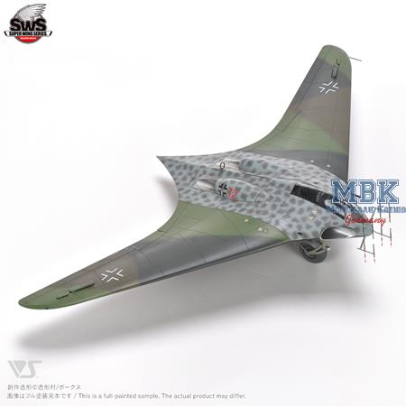 HORTEN Ho 229 B