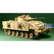 Warrior MCV
