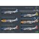 P-51D Mustang ANTWERP GUARDIANS - 1/48 Collectors'