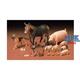 Tiere Set