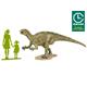 Fukuisaurus "CLIC LOC-Kit"
