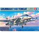 Grumman F-14D Tomcat  1/48