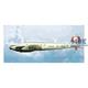 Heinkel He 111 Lufthansa