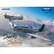 Sharks and Stallions Dual Combo (P-40N and P-51B)