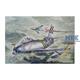 F-86/F30 USAF Sabre
