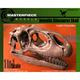 Juvenile Allosaurus skull/ Allosaurus Schädel 1:1