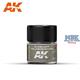 REAL COLORS AIR: A-21M Light Yellowish Brown 10ml