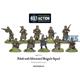 Bolt Action: Polish 10th Motorised Brigade Squad