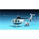 Hughes MD 500D "Police"