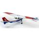 Cessna 172 Skyhawk "Civil Air Patrol"