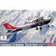 Cessna 172 Skyhawk "Civil Air Patrol"