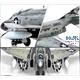 MDD F-4J Phantom II  "Showtime 100"