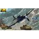 IL-2M & Panther D - Limited Edition -