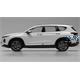 Hyundai Santa Fe TM (Sports Utility Vehicle)