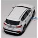 Hyundai Santa Fe TM (Sports Utility Vehicle)