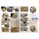 The Weathering Magazine AFVs ESSENTIALS (English)