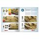 How to Paint WWII German Dunkelgelb SOLUTION BOOK