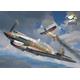 Curtiss Hawk 81-A2
