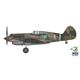 Curtiss Hawk 81-A2