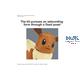 #04 Evoli / Eevee Pokemon