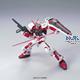 HG MBF-P02 Gundam Astray Red Frame (Flight) 14 cm