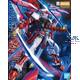 MG MBF-P02KAI Gundam Astray Red Frame 21 cm