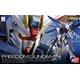 RG ZGMF-X10A Freedom Gundam 14 cm