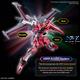 HG ZGMF-X191M2 Infinite Justice Gundam T. II 14 cm
