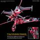 HG ZGMF-X191M2 Infinite Justice Gundam T. II 14 cm