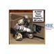 French Tank Crew Reloading N°2 - Loading System an