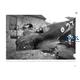 Broken Wings: Captured & Wrecked Aircraft