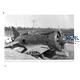Broken Wings: Captured & Wrecked Aircraft