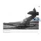 Broken Wings: Captured & Wrecked Aircraft