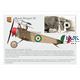Macchi Nieuport XI Italian Service