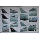 F-14 Tomcat Units of Op. Enduring Freedom