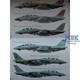 F-14 Tomcat Units of Op. Enduring Freedom