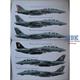 USN F-14 Tomcat Units of Op. Iraqi Freedom