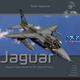 Duke Hawkins: Sepecat Jaguar