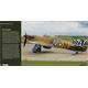 Duke Hawkins: Hawker Hurricane WWII Workhorse