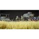 Herbstrasen / Autumn meadow 36mm high