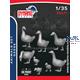Animals Serie - Geese