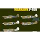 Warhawk P-40N  1/32 --Limitiert--